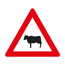 Soru 486 görseli