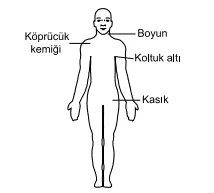Soru 1920 görseli